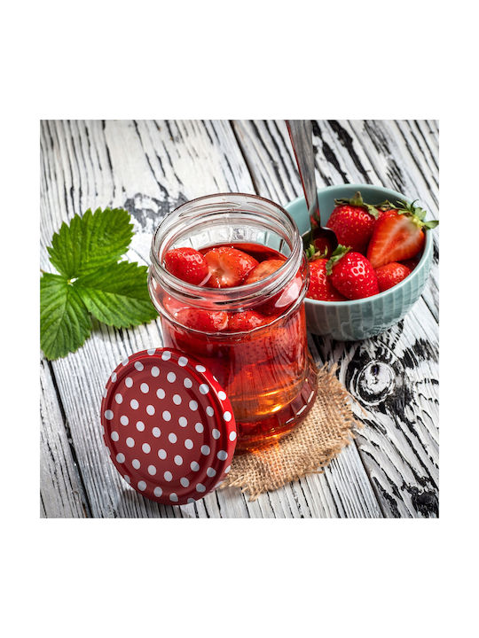Kadax Set 24Stück Gläser Allgemeine Verwendung mit Deckel Glas Transparent 500ml