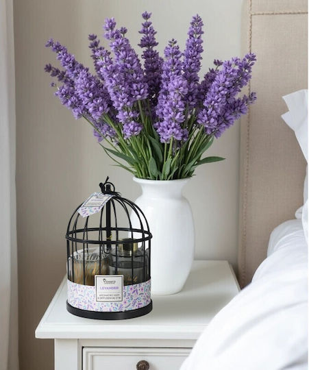 Viosarp Aromatic Candle In Jar