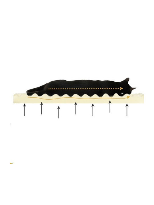 Sofa Dog Bed Orthopedic Black 80x65cm