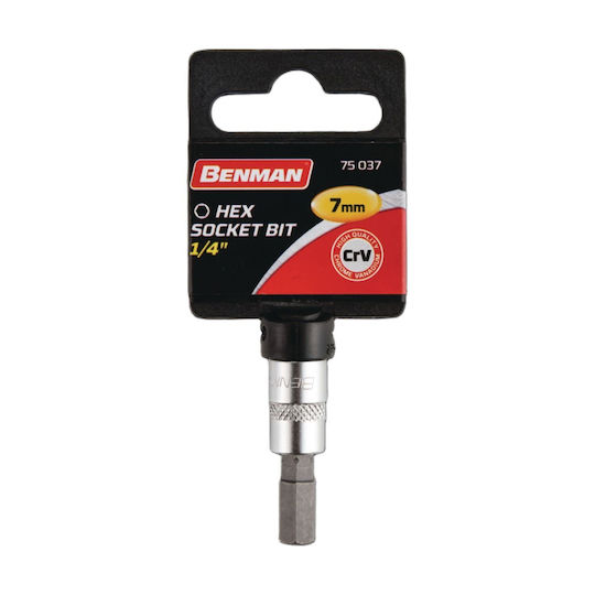 Benman Socket 1/4" Allen Walnut with Allen Head and Socket 1/4'' H6x37mm