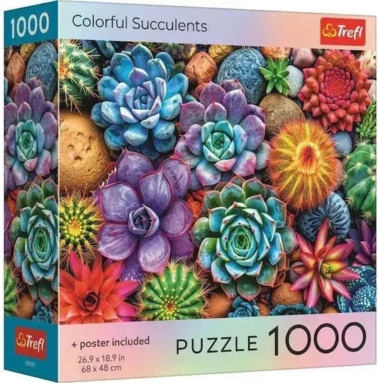 Colorful Succulents Puzzle 2D 1000pcs