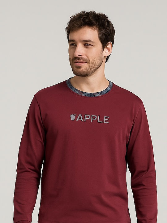 Apple Boxer Red