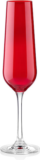 Crystal Bohemia Set Brillen für Weißwein und Rotwein aus Kristall Rotwein Kelch 450ml StrixRed30 30 Stück