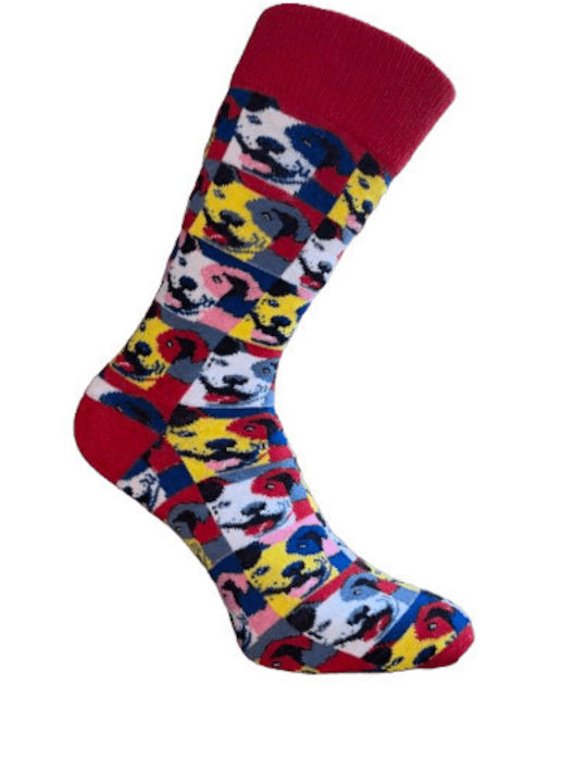 Kal-tsa Men's Socks Multicolour 5Pack