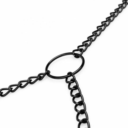 Bedroom Fantasies BDSM Kit in Black Color