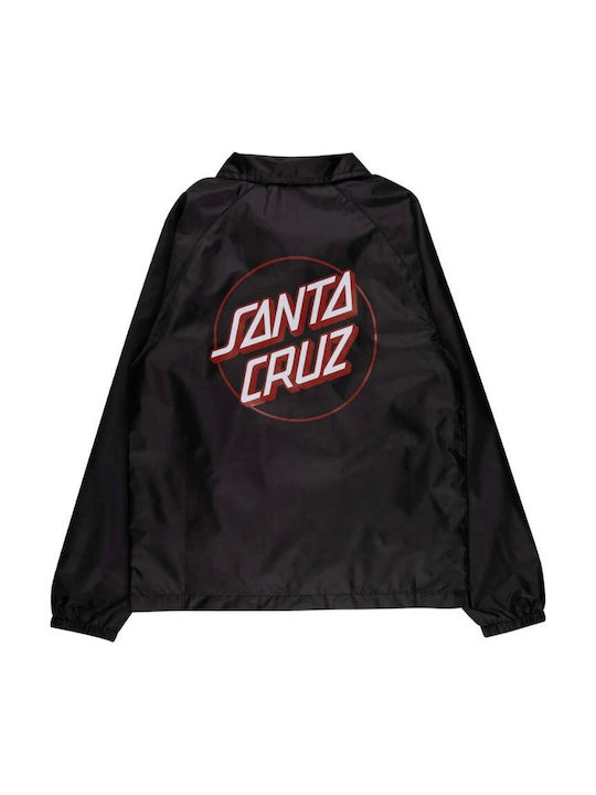 Santa Cruz Santa Cruz