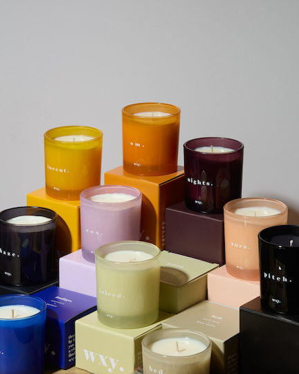 wxy. Aromatic Soy Candle Indigo Classic in Jar with Rosemary & Cedar Scent 200g