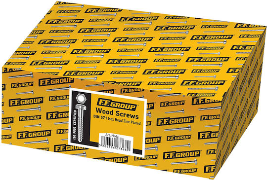 FFG Coach Screw DIN 571 with Diameter M10 and Length 10mm 100pcs