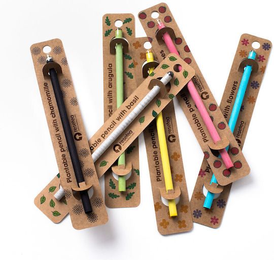 Plantable Pencils Flowers