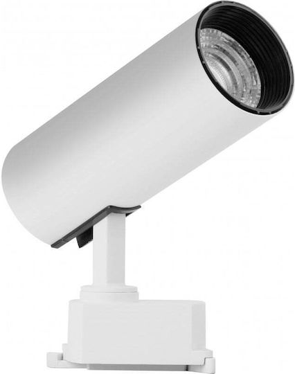 30w LED Cool White Spot with 10 Lights in White Color