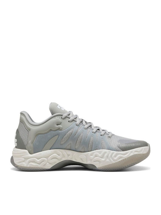 Hali 1 Niedrig Basketballschuhe Gray Echo / Feather Gray