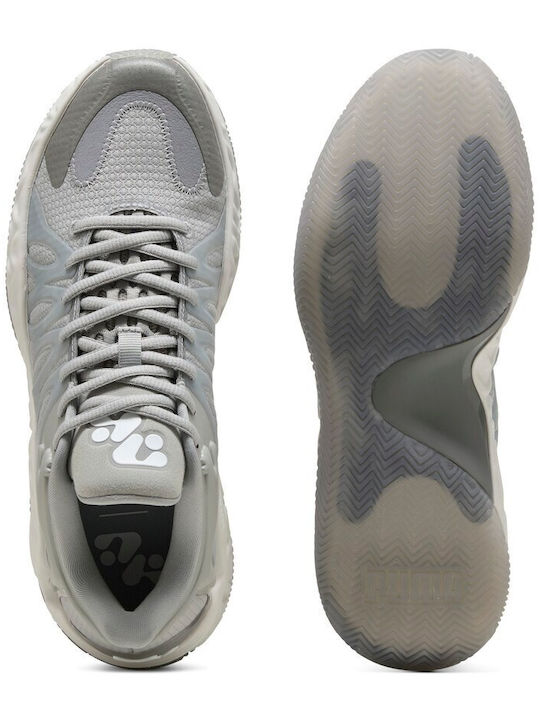 Hali 1 Niedrig Basketballschuhe Gray Echo / Feather Gray