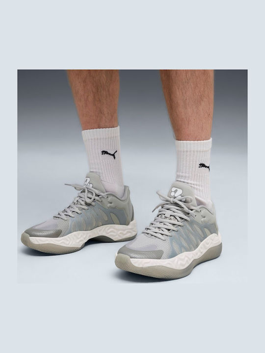 Hali 1 Niedrig Basketballschuhe Gray Echo / Feather Gray