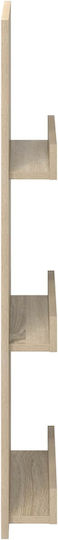 vidaXL Zeitschriftenständer Braun 43x11x102cm 1Stück