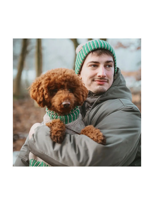 Hunter Dog Sweater Set with Hat Odense 35cm Green