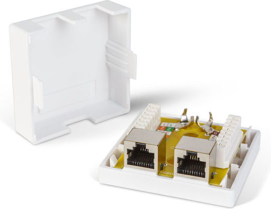 Double Wall Socket Ftp Cat6 8p8c Rj45 Surface Mount