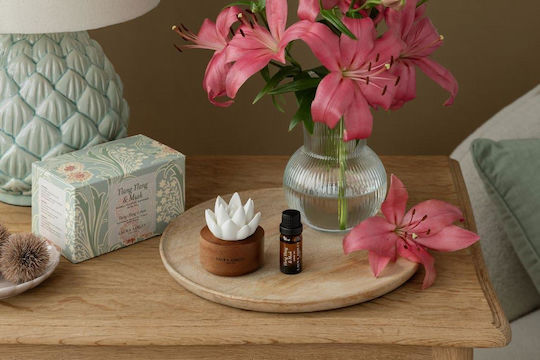 Laura Ashley Laura Ashley Raumdüfte Set mit Orchidee Parfüm A2402 3 Stück 10ml