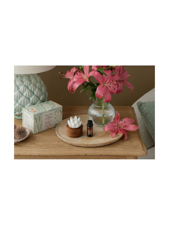 Laura Ashley Set Diffuser with Fragrance Sandalwood 3pcs 10ml