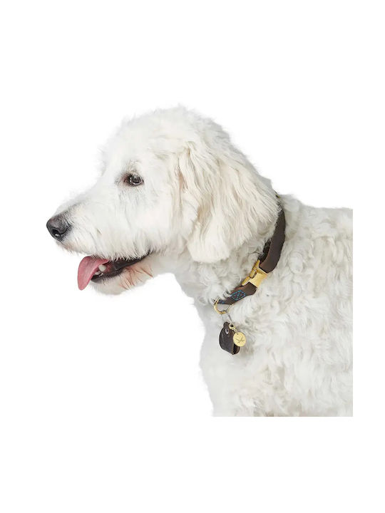 Leder Hundehalsband Hunter Sansibar Mittel Dunkelbraun