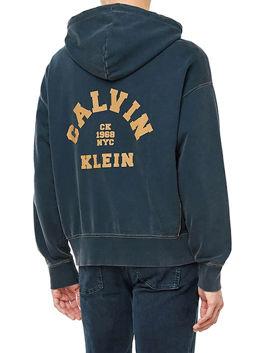 Calvin Klein Brown-blue mit Kapuze