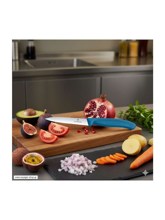 Victorinox Swiss Classic Knife General Use from Stainless Steel 10cm