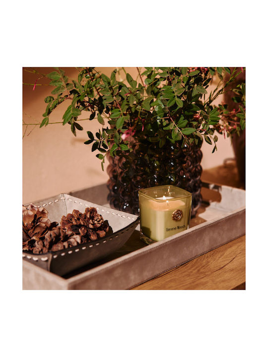 Nef-Nef Homeware Aromatisches Kerze in Gefäß mit Duft Serene Holz 180gr
