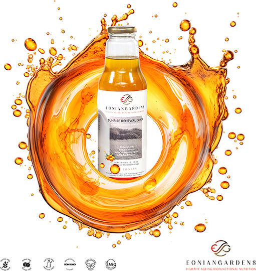 Elixir Χυμός 220gr 750ml