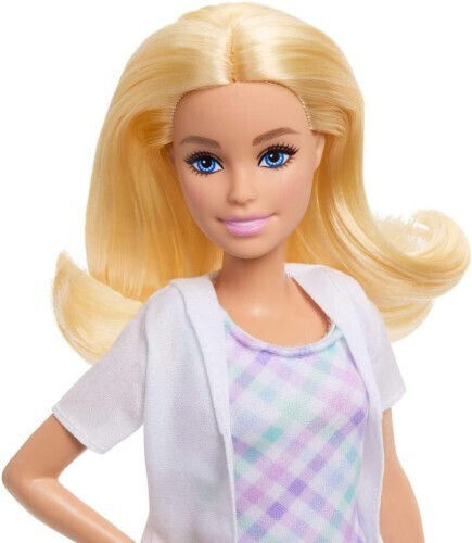 Barbie Professions Doll Set for 3+ years+ Years