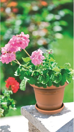 Viosarp Pot Plastic Viosarp 34.5x34.5x28.5cm.
