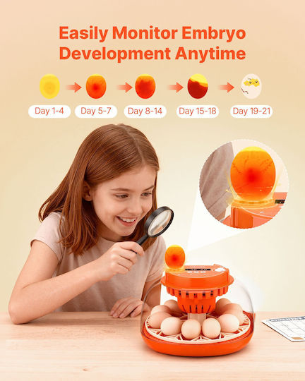 Vevor Automatic Egg Incubator 12 Eggs