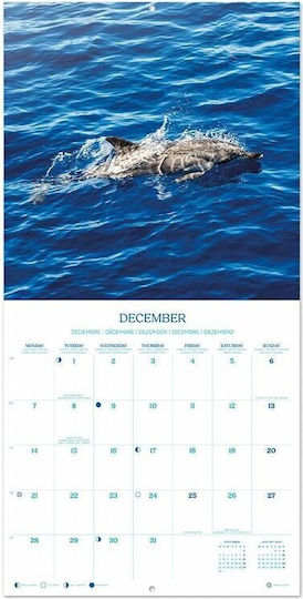 Erik Ημερολόγιο Τοίχου 2026 30x30εκ Dolphins