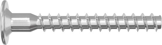vidaXL Screw Torx Metallic with Diameter M5mm 12pcs