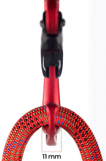 Classic Carabiner Fixe Climbing Picot Curve Red