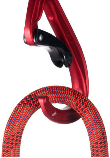 Classic Carabiner Fixe Climbing Picot Curve Red
