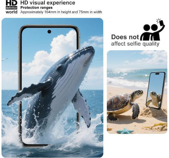 Screen Protector (Redmi 15)