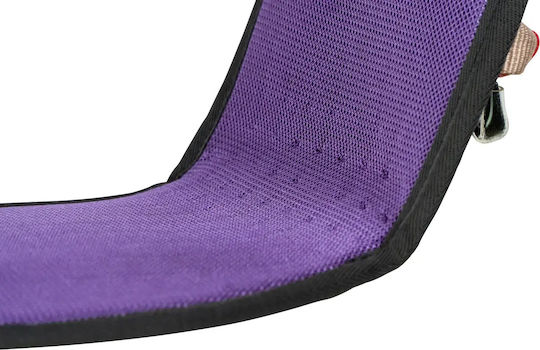 Beal Air