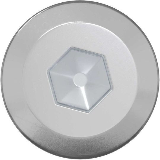 vidaXL Ξυλόβιδα Εξάγωνη με Μήκος 6mm 1900τμχ 18kg