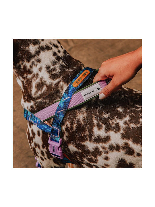 Zee Dog Σαμαράκι Εκπαιδευτικό Σκύλους Softer Walk Reebok Trekk 78-106cm L Zee Dog Σαμαράκι Εκπαιδευτικό Σκύλους Softer Walk Reebok Trekk 78-106cm L