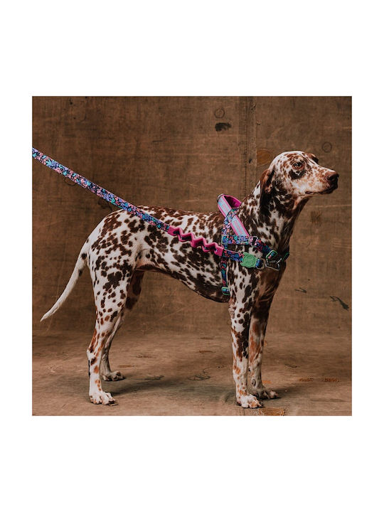 Zee Dog Кучешки Повод H-Harness Reebok Aerobic 23-38см Xs