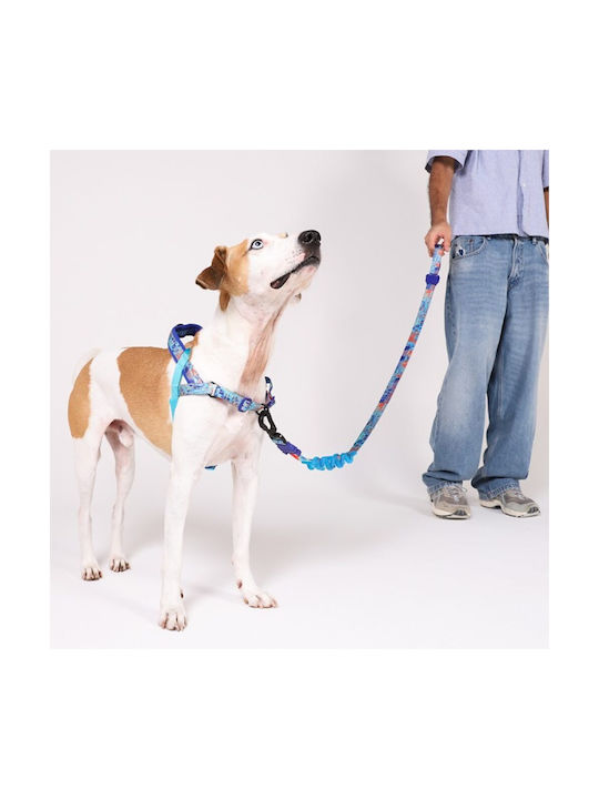 Zee.dog Softer Walk Harness Glitch Error #404 Training Dog Harness Glitch Error #404 Large