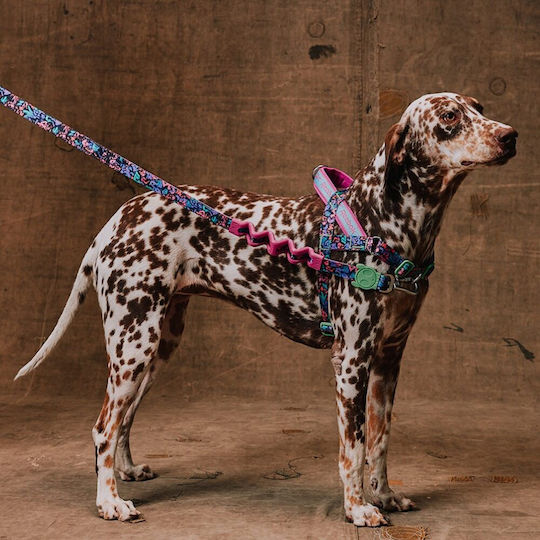 Zee Dog Οδηγός Περιπάτου Σκύλων Reebok Ruff Aerobic 120cm X 1,5cm S