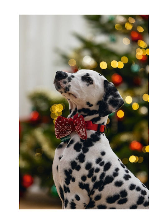 Christmas Bow Tie for Dogs and Cats 7×4×33cm