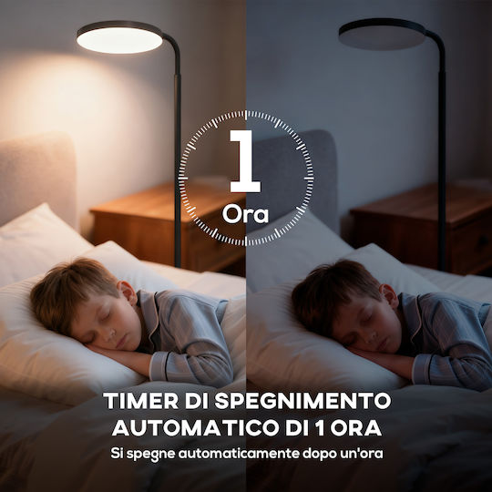 Lampa de podea Negru