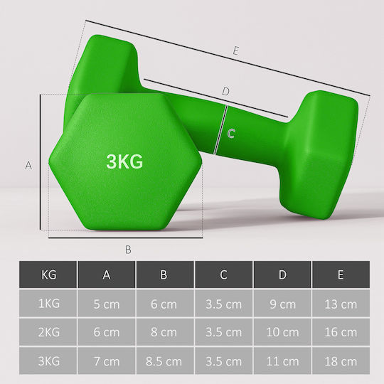Sportnow Σετ Βάρη Χειρός Στήριγμα 6 Συνολικά Βάρη 2x1 Kg 2x2 Kg 2x3 Kg Πολύχρωμο A91-317v00mx