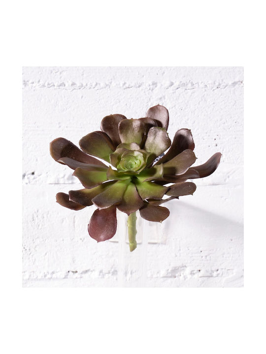 Supergreens Artificial Recessed Brown Succulent Plant 10 Cm