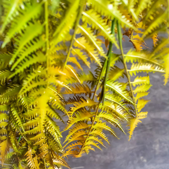 Supergreens Künstlicher Baum Pitssardia Grün 150 cm
