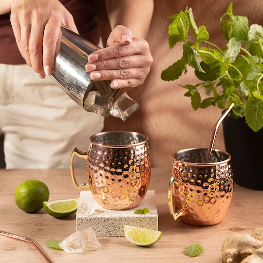 KING Hoff Set Gläser Cocktail/Trinken aus Edelstahl mit Strohhalm 500ml 2Stück