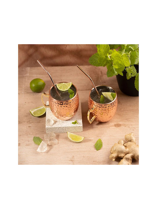 KING Hoff Set Gläser Cocktail/Trinken aus Edelstahl mit Strohhalm 500ml 2Stück
