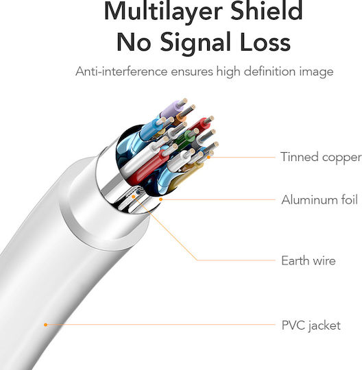 Cabletime Cable DisplayPort male - 1m White (CT-AV588-03G-W1-100)