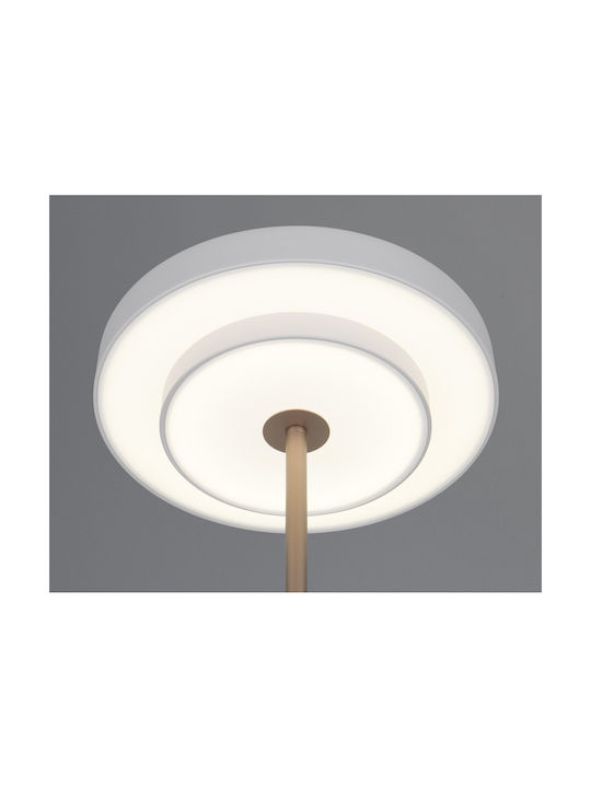 Trio Lighting Διακοσμητικό Φωτιστικό Keaton